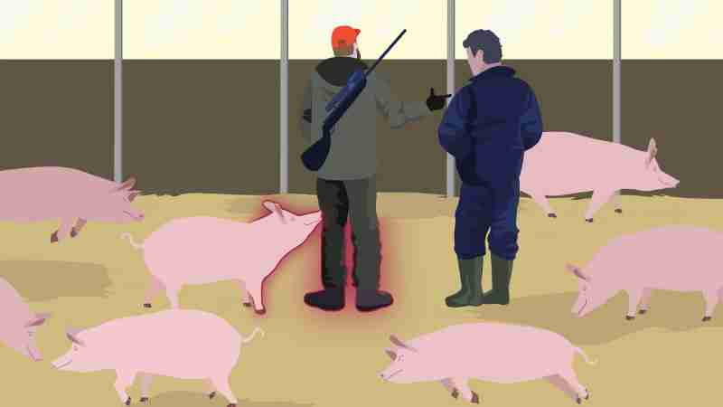 African Swine Fever: how to stay one step ahead, Video Screenshot, tags: notfallübungen der bundeswehr - Youtube