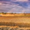 moderne Landwirtschaft – auch mit modernen Bewässerungscomputern
