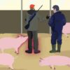African Swine Fever: how to stay one step ahead, Video Screenshot, tags: notfallübungen der bundeswehr - Youtube